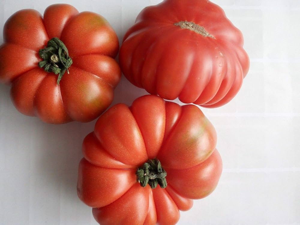Beefsteak (tomato) for planting in garden